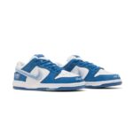 Born x Raisde x Nike Dunk SB (6)